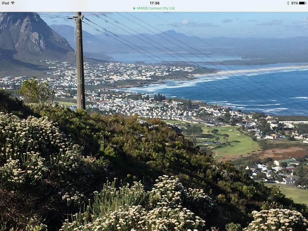 77 On 7Th Street Apartment Hermanus Exterior foto